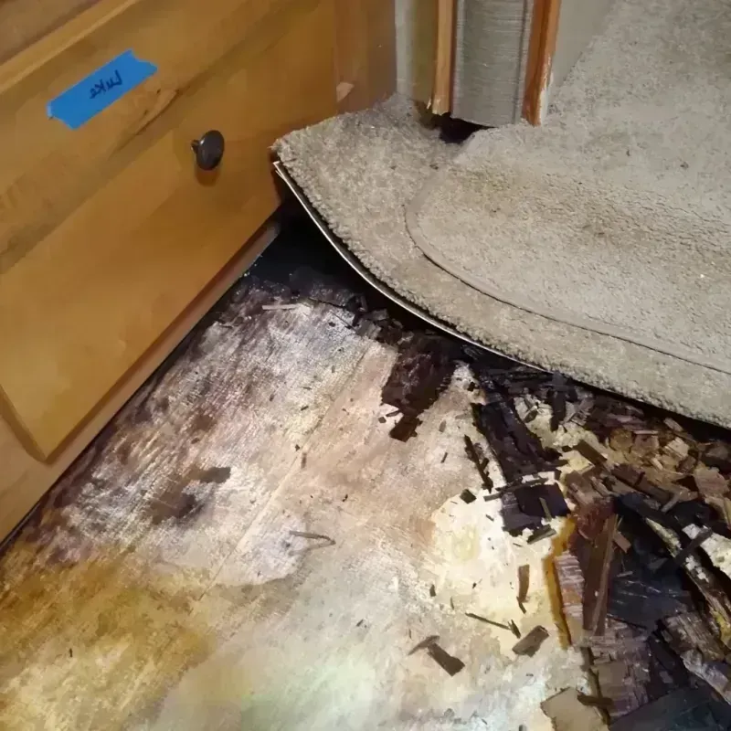 Wood Floor Water Damage in Gulf County, FL